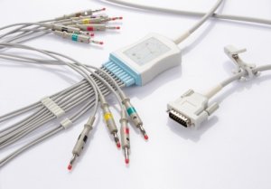 3902800031