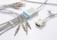 3902800031